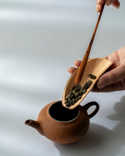 煤竹金彩中国茶杓  #6