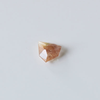 Bicolor Rutilated Quartz #240